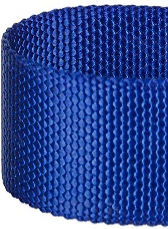 Eagle Pets Neck Nylon Collar Fully Adjustable Stylish Design Small to Medium Size Dog (Blue Small) - Image 3